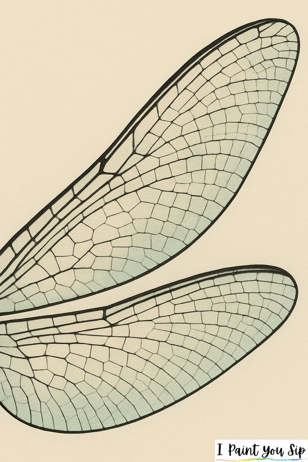 dragonfly wing close-up