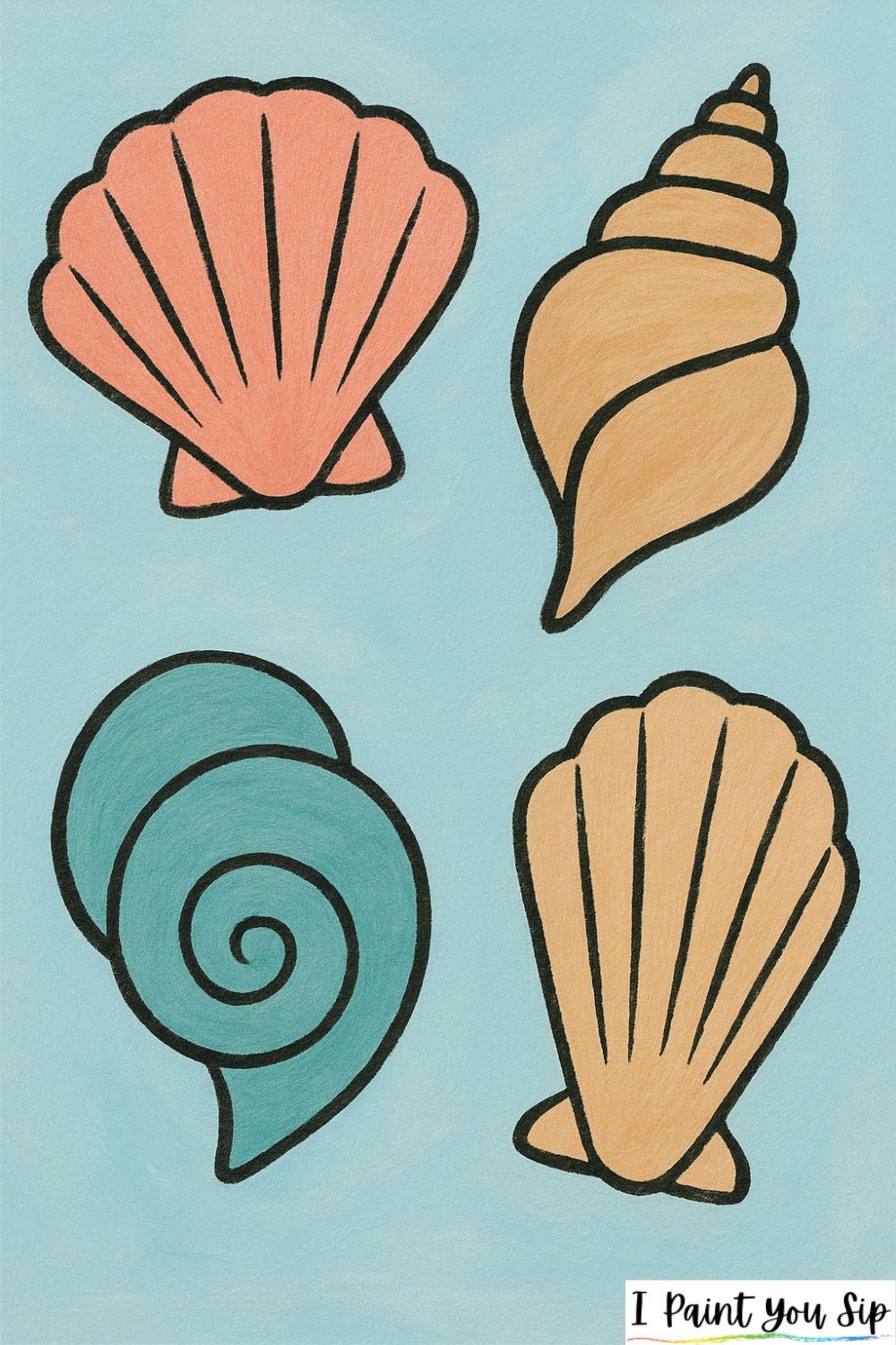 seashell collection