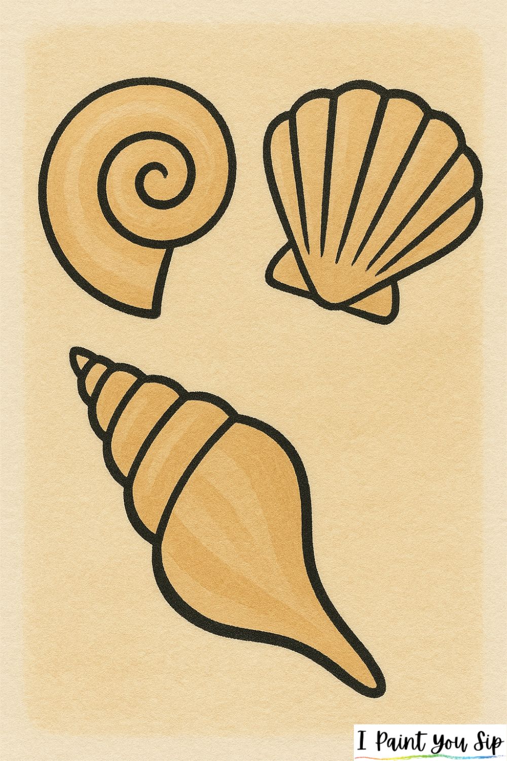 seashell study